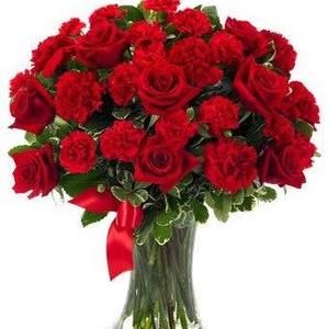 Meet your Posher, Bita